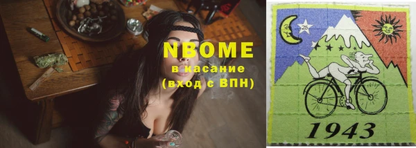 прущие грибы Балабаново