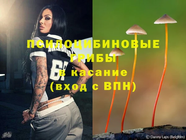 прущие грибы Балабаново