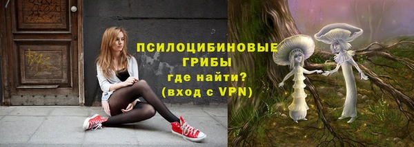 молекула духа Баксан