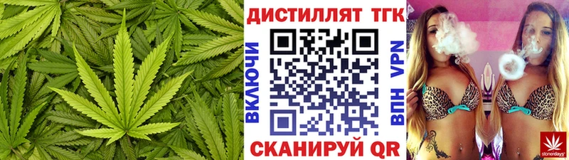 сколько стоит  Судогда  Дистиллят ТГК THC oil 