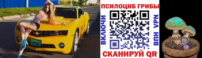 мориарти как зайти где купить Судогда Псилоцибиновые грибы мухоморы