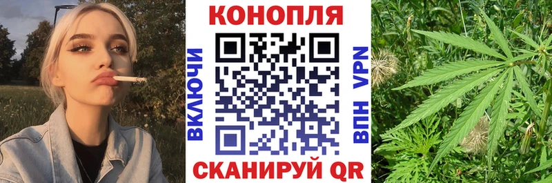 ссылка на мегу рабочий сайт  дарнет шоп  Судогда  Шишки марихуана сатива 
